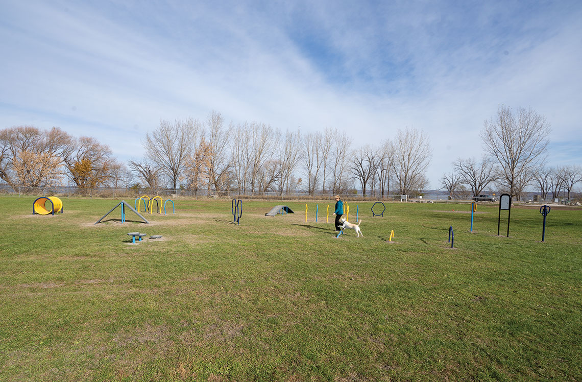 Dog Park Equipment